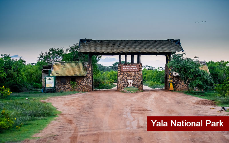 //www.yatraexoticroutes.com/wp-content/uploads/2015/10/Yala-National-Park.jpg